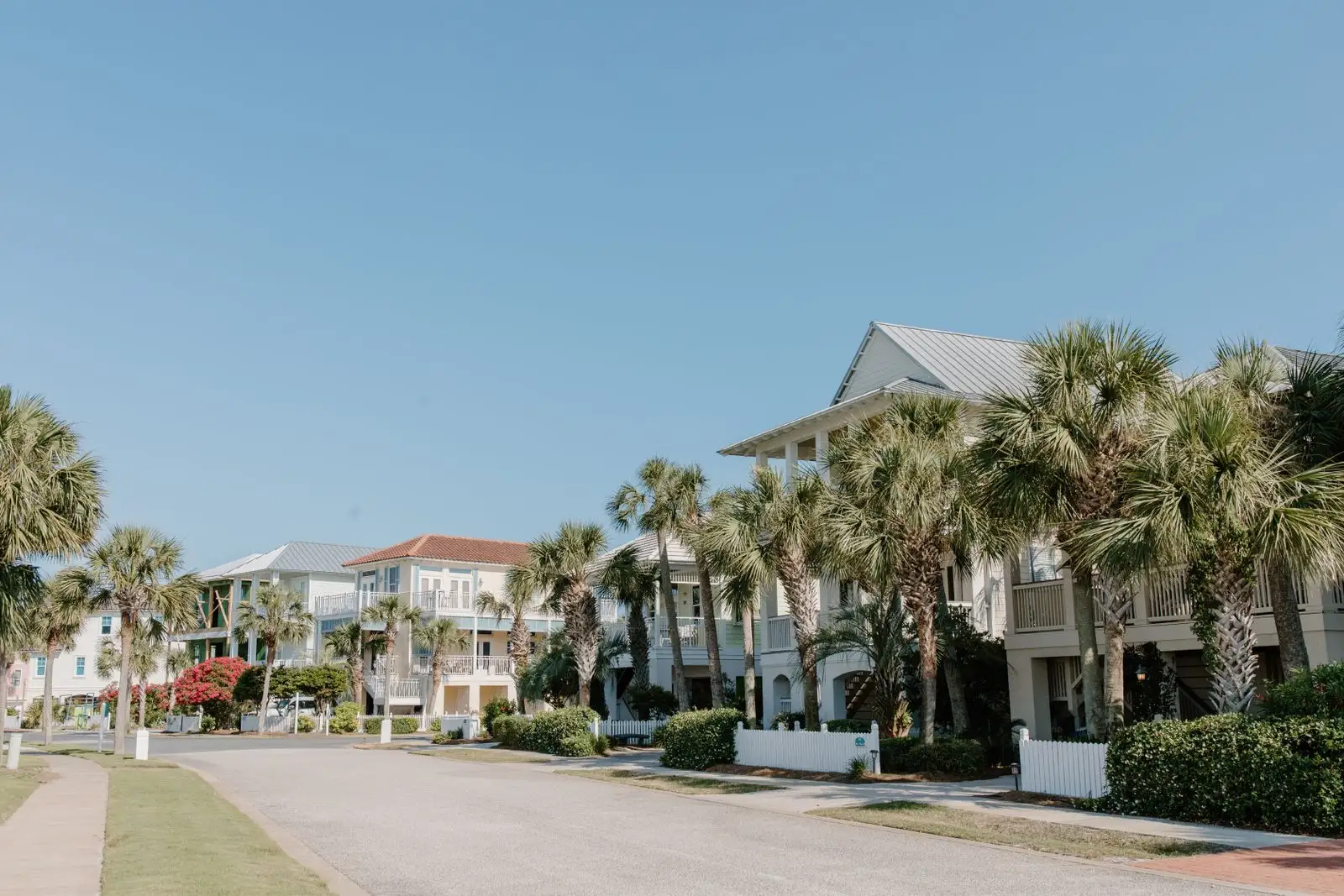 A quiet residential street lined with palm trees and two-storey homes